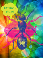 Birthdays Bug Me
