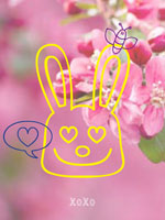 Bunny