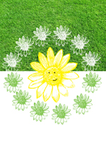 Daisy