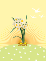 Jonquil