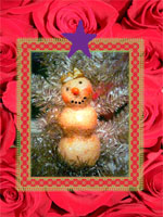 Xmas Roses